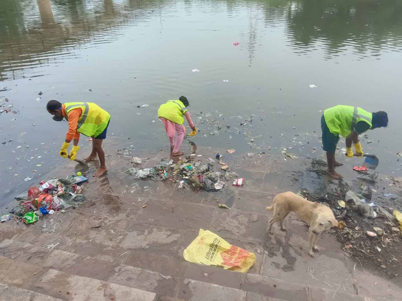 Environmental workshop